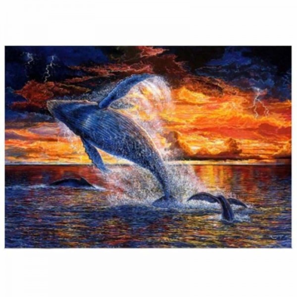 Volledige boor - 5D DIY Diamond Painting Kits Artistieke dolfijn