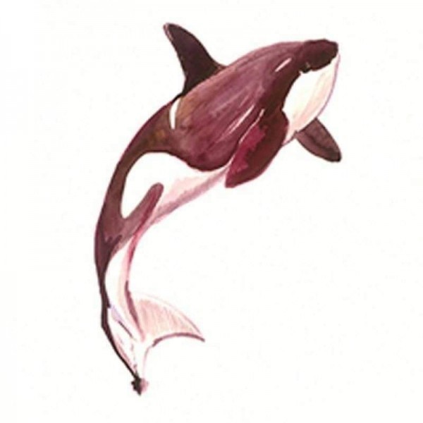 Volledige boor - 5D DIY Diamond Painting Kits Cartoon Dolphin