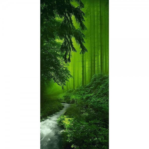 Mysterieus groen bos