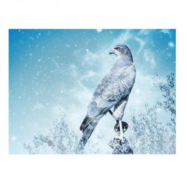 Volledige boor - 5D DIY Diamond Painting Kits Fantastic Winter Forest Cool Eagle