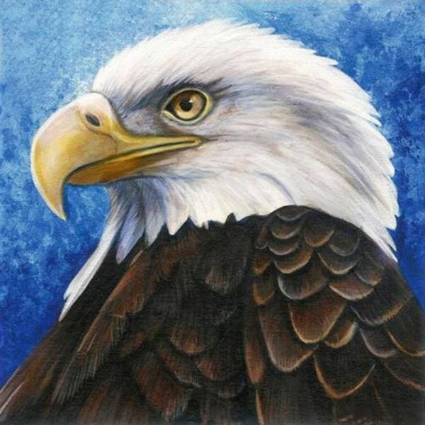 DIY Diamond Painting - Eagle Calm PIX-308