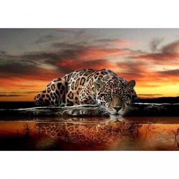 DOUBLE Leopard at sunset - Full Vorm steentjes Diamond Painting -