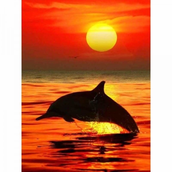 Dolfijn in de zonsondergang