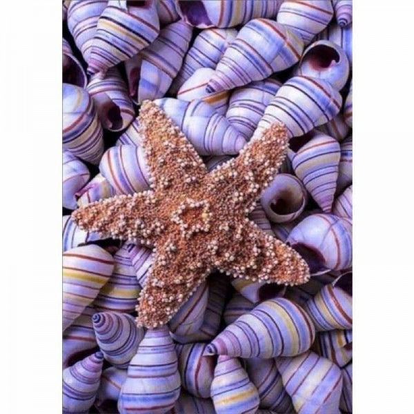 Volledige boor - Volledige boor - 5D DIY Diamond Painting Kits Summer Beach Starfish Shell Pebble