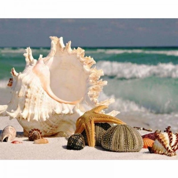 Volledige boor - 5D DIY Diamond Painting Kits Shell Starfish Seaside
