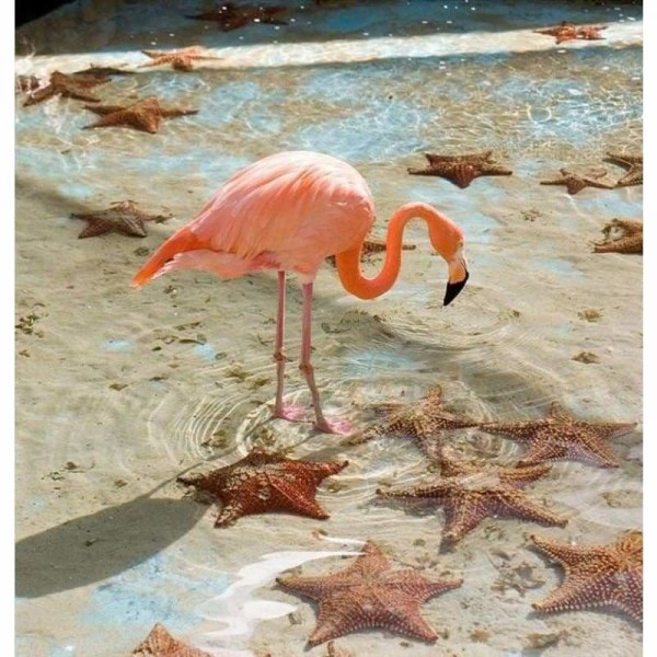 Volledige boor - 5D DIY Diamond Painting Kits Pink Flamingo Starfish on the Beach