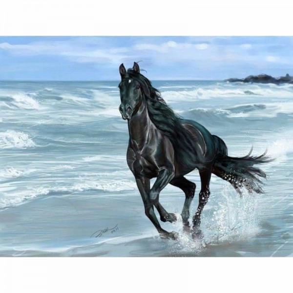 Volledige boor - 5D DIY Diamond Painting Kits Animal Black Horse By the Sea