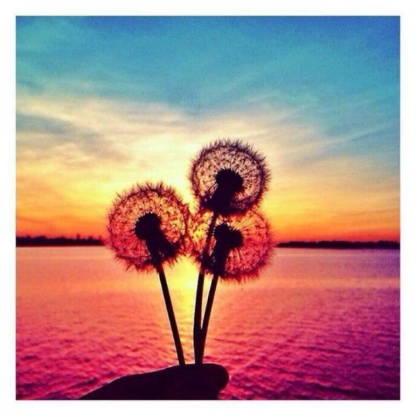 Volledige boor - 5D DIY Diamond Painting Kits Special Sunset Dandelions Sea
