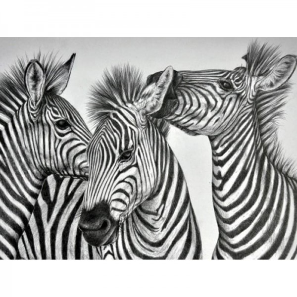 Volledige boor - 5D DIY Diamond Painting Kits Zwart Wit Zebra's