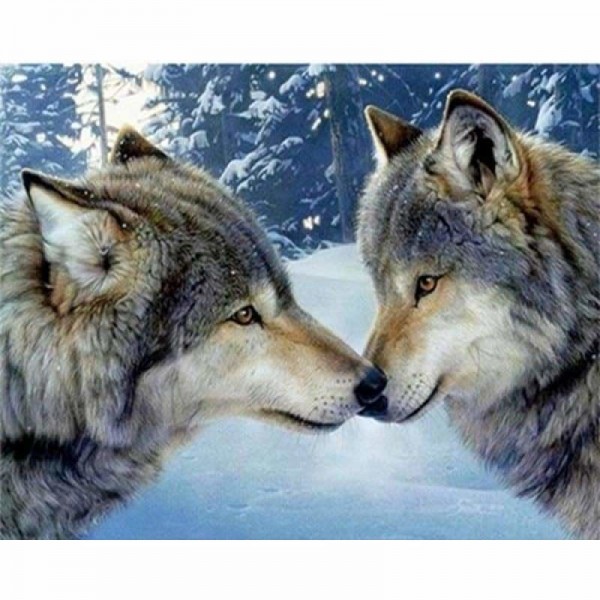 Kussende wolven