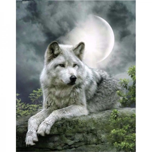Liggende witte wolf