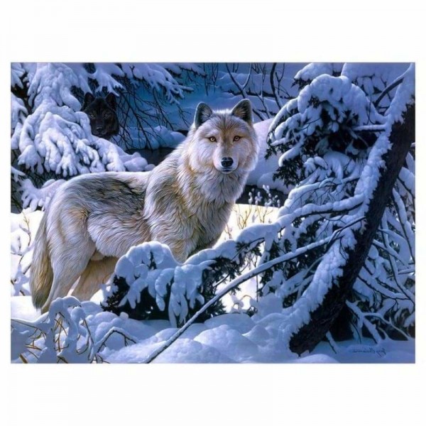 Witte wolf in de sneeuw