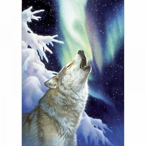 Wolf in het noorderlicht