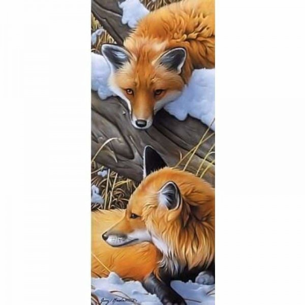 Volledige boor - 5D DIY Diamond Painting Kits Cartoon Animal Foxs
