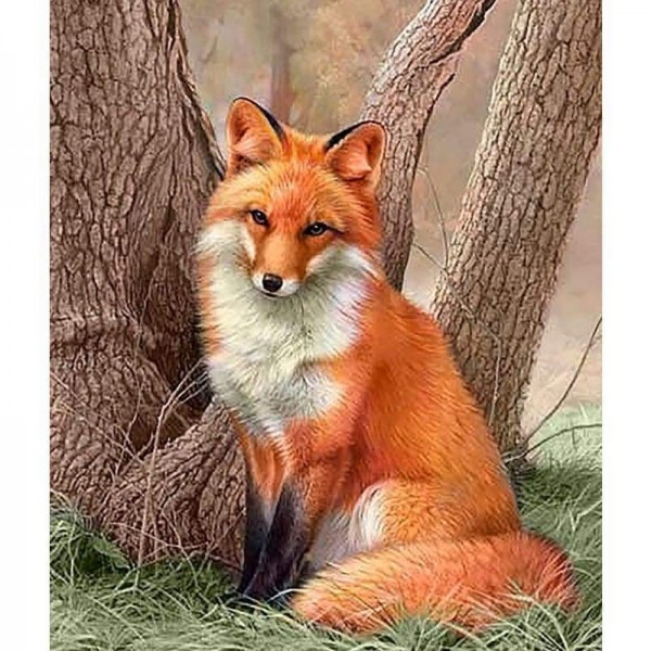 Volledige vierkante boor Fox volledige boor - 5D Diy Diamond Painting Kits NA0466