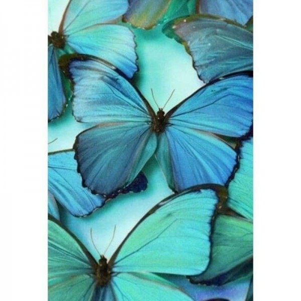 Volledige boor - 5D DIY Diamond schilderij blauwe vlinder kunst mozaïek