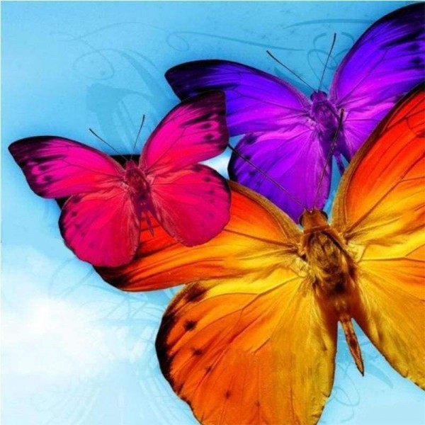 Volledige boor - 5D DIY Diamond Painting Kits Dream Colorful Butterfly
