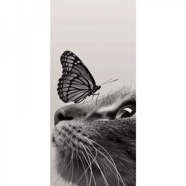 Kat en vlinder op neus - volledige boor diamant schilderij -