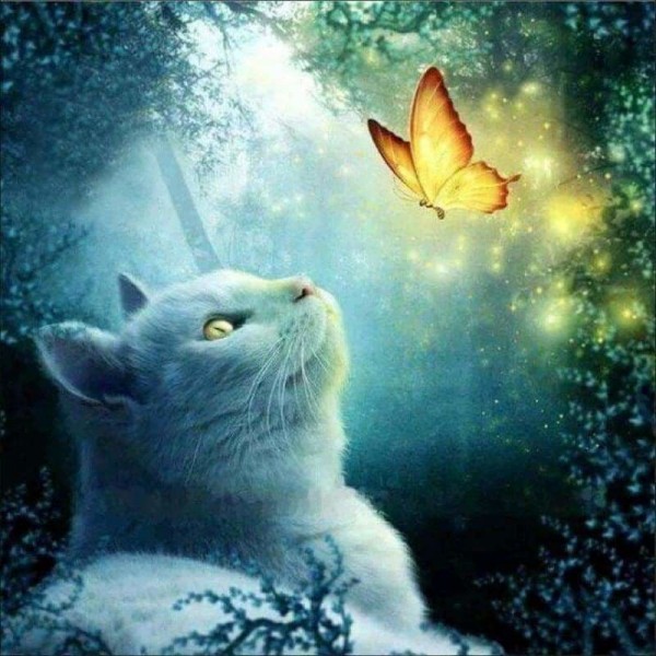 Volledige boor - 5D DIY Diamond Painting Kits Dream Cat and Butterfly