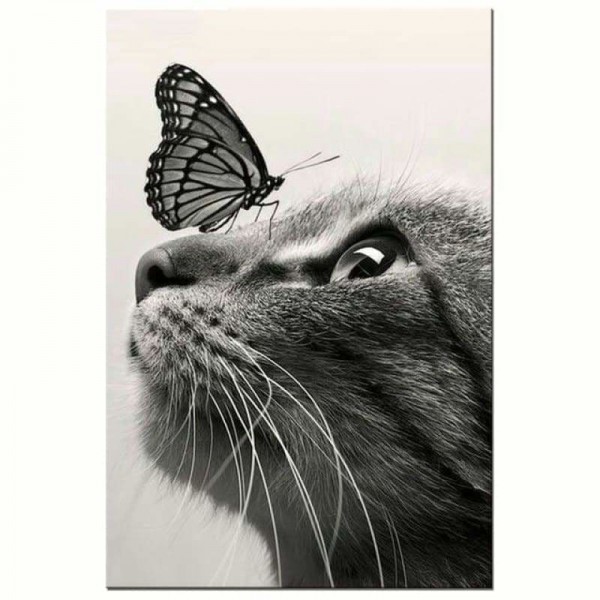 Volledige boor - 5D DIY Diamond Painting Kits Black White Cat Butterfly