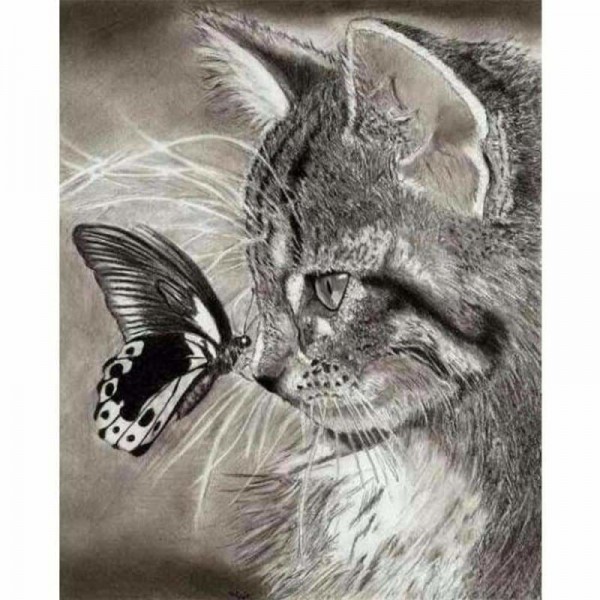 Volledige boor - 5D DIY Diamond Painting Kits Zwart-witte kat en vlinder