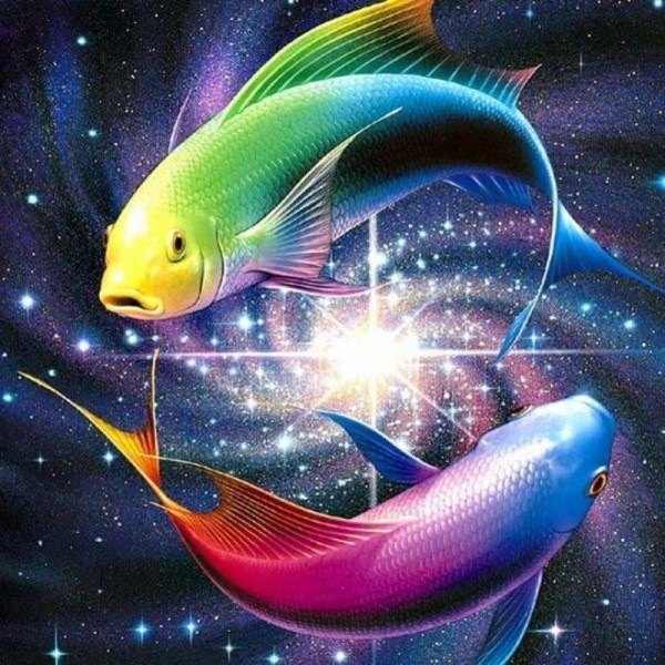DOUBLE Full Vorm steentjes - 5D DIY Diamond Painting Kits Bedazzled Special Colorful Fish