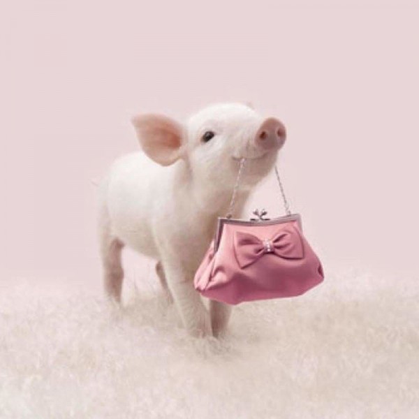 Volledige boor - 5D DIY Diamond Painting Kits Funny Cute Pig Pink Handtas