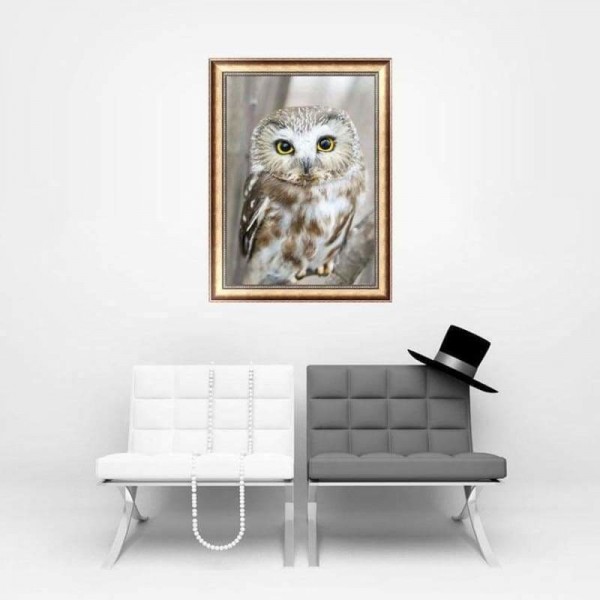 Volledige boor - 5D Diamond Painting Kits Mooie witte uil