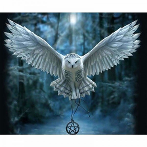 Flying Owl-Volledige boor diamant schilderij-