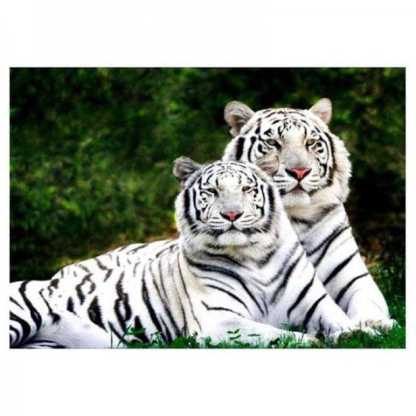 Volledige boor - 5D DIY Diamond Painting Kits Animal Tigers Couple