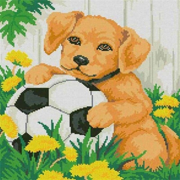 Volledige boor - 5D DIY Diamond Painting Kits Pet Dog Football in the Grass