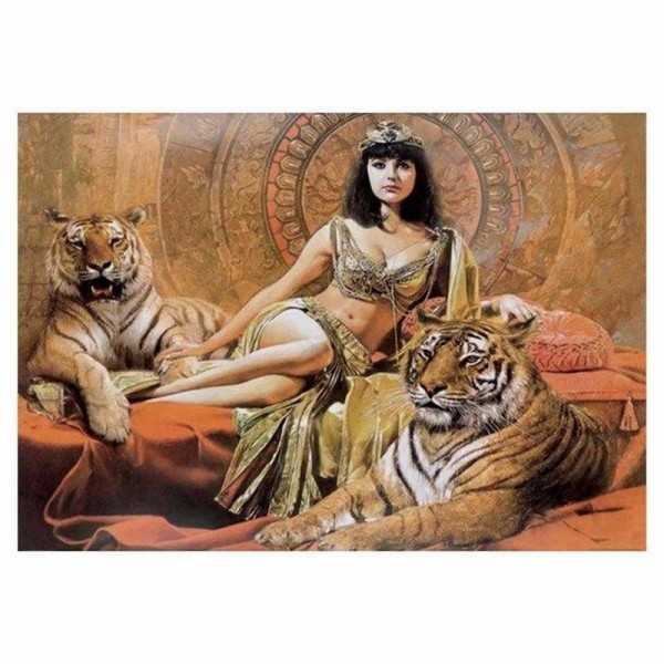 DOUBLE New Hot Sale Beauty And Animal Tiger Full Vorm steentjes - 5D Diy Diamond Painting Kits VM9976