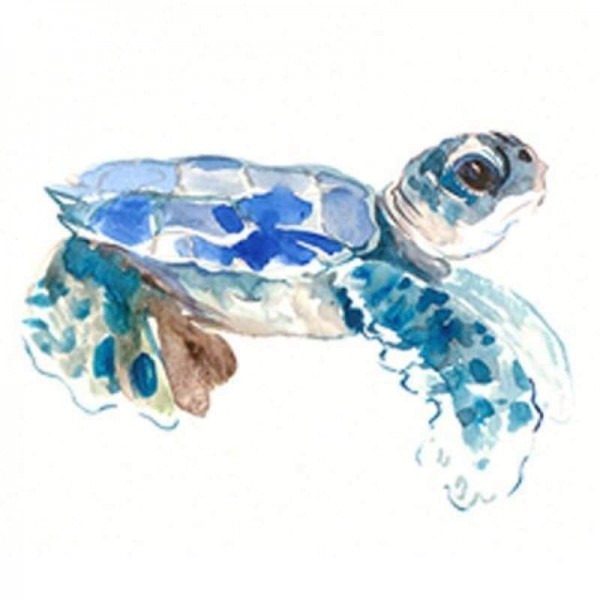 Volledige boor - 5D DIY Diamond Painting Kits Kleurrijke schattige schildpad