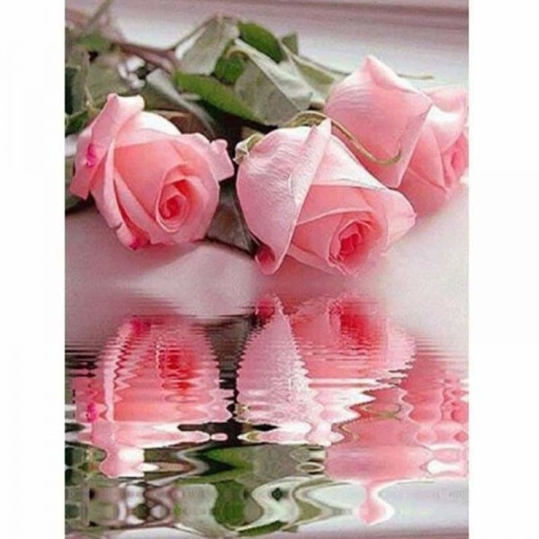 Roze rozen reflectie