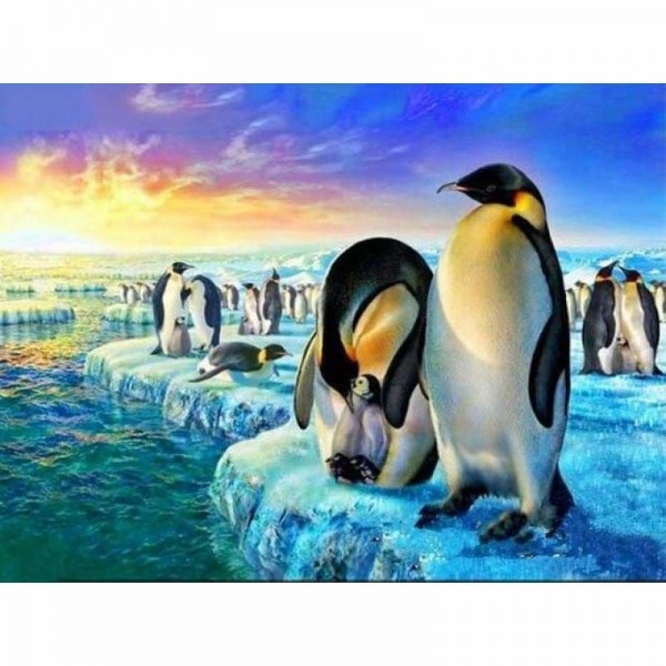Pinguïn families op het ijs