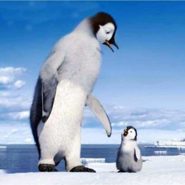 Vader en zoon pinguïn