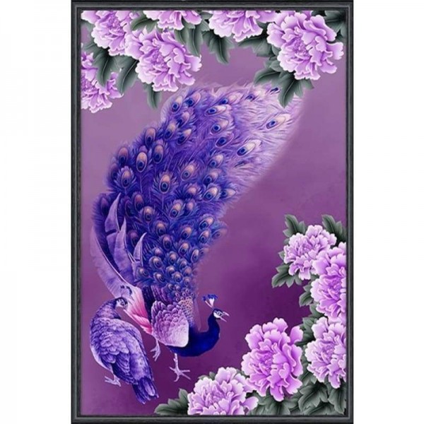 Volledige boor - 5D DIY Diamond Painting Kits Cartoon Pretty Flowers Peacock