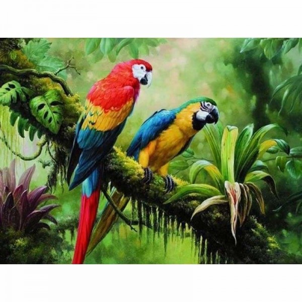 Kleurrijke papegaaien op een tak