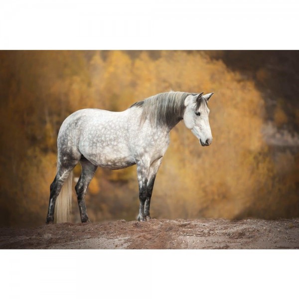 DOUBLE Horse B- Full Vorm steentjes Diamond Painting - Foto
