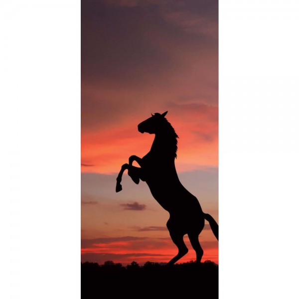 Paard bij de zonsondergang