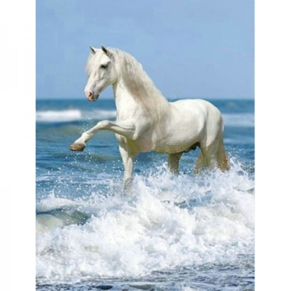 Wit paard in de zee