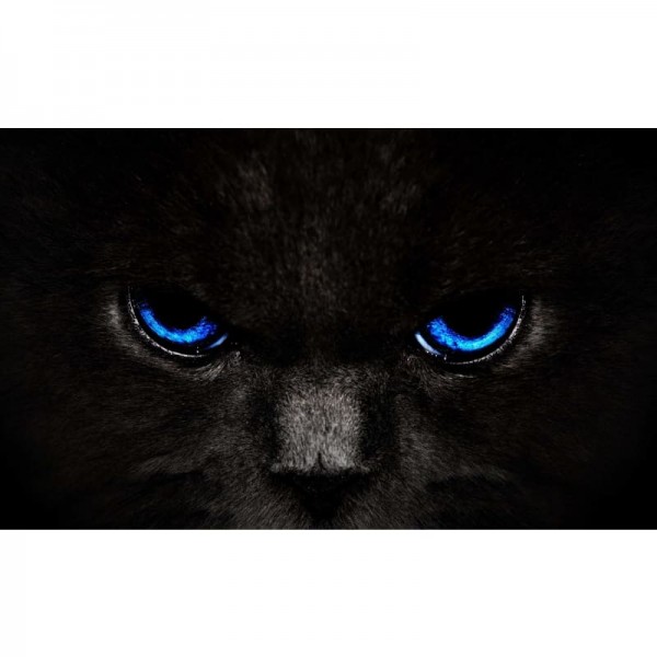 Black Cat Eyes (blauw) - Volledige boor Diamond Painting -