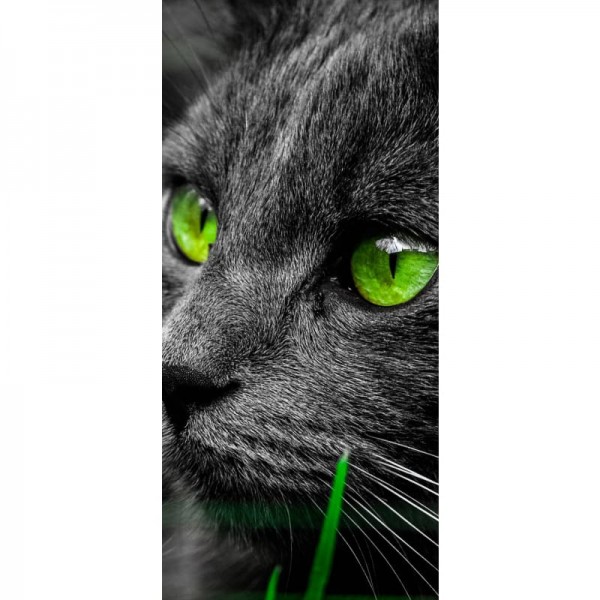 Kat met groene ogen-Volledige boor diamant schilderij-