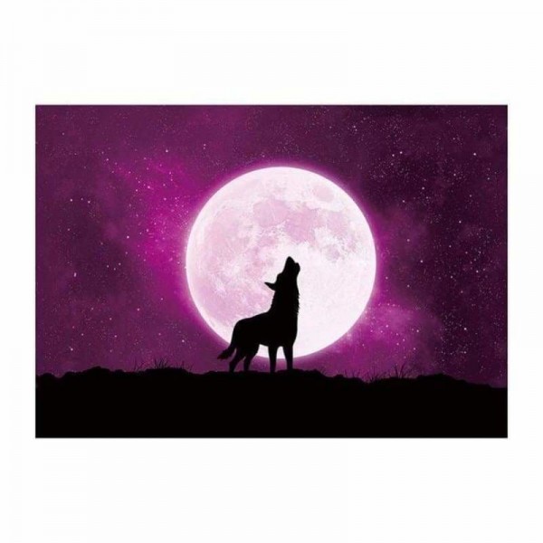 Volledige boor - 5D DIY Diamond Painting Kits Dream Moon Wolf Starry Sky