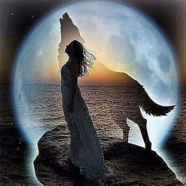 Volledige boor - 5D DIY Diamond Painting Kits Dream Moon Wolf and Beauty