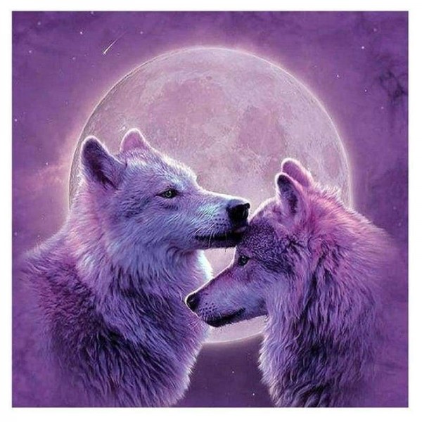 Volledige boor - 5D DIY Diamond Painting Kits Dream Moon Wolf Lover