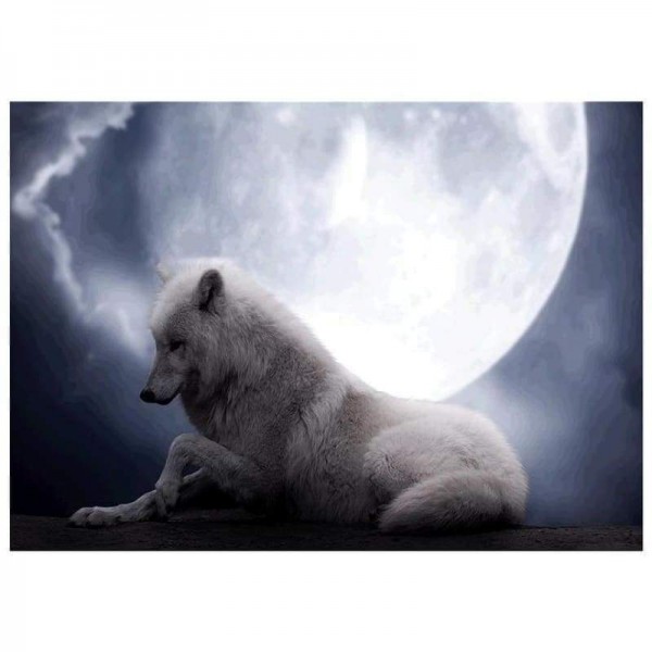 Volledige boor - 5D DIY Diamond Painting Kits Dream White Wolf Moon