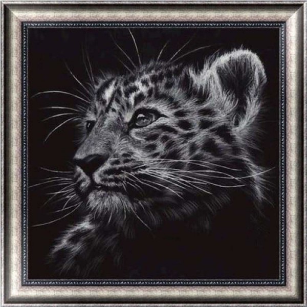 DOUBLE Full Vorm steentjes - 5D DIY Diamond Painting Kits Black White Cute Leopard