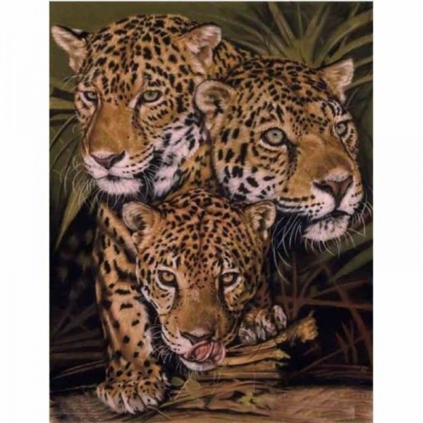 Portrait luipaarden familie