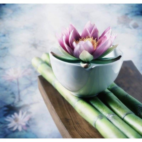 Volledige boor - 5D DIY Diamond Painting Kits Dream Lotus Bamboo
